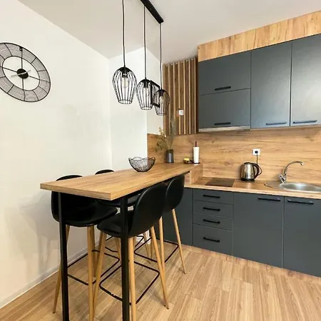 Tijana 2 公寓 帕莱